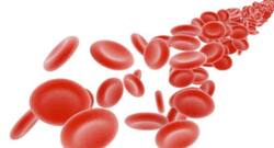 सर्दी हो या गर्मी ब्लड सर्कुलेशन को रखना है बेहतर तो अपनाएं ये उपाय