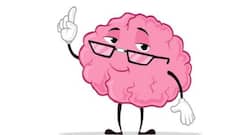Study says bigger brain could make you only a little smarter than others