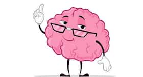 Study says bigger brain could make you only a little smarter than others
