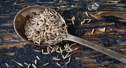Cumin Seeds Benefits : जीरे का यूं करें इस्तेमाल, कई रोगों को करता है दूर