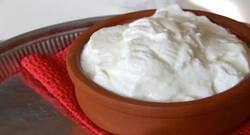 टाइप 2 डायबिटीज का खतरा कम करता है दही, जानें विस्‍तार से