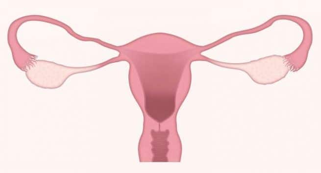 how to prevent Vaginal infection in Hindi