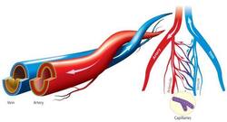 ठंड के मौसम में क्यों बढ़ जाता है स्ट्रोक का खतरा, जानें कारण और बचाव