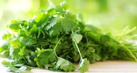 3 delicious and healthy ways to eat coriander