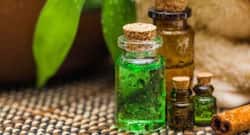 This is how tea tree oil can amplify your beauty