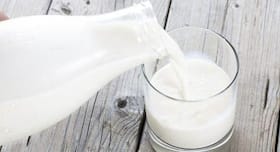 Top 6 health benefits of camel milk Top 6 health benefits of camel milk