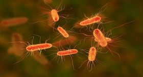 Ways to save yourself from contaminants you don't know about