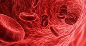Your Complete Blood Count report: Know how to read it Your Complete Blood Count report: Know how to read it