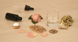 Make your own perfume using these essential oils