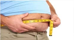 पेट की अतिरिक्त चर्बी मस्तिष्क को पहुंचा सकती है नुकसान