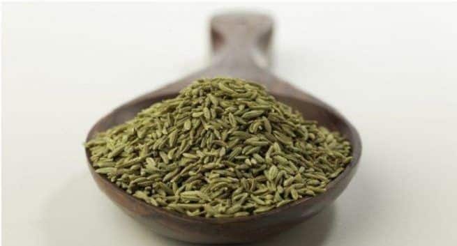 Fennel-seed