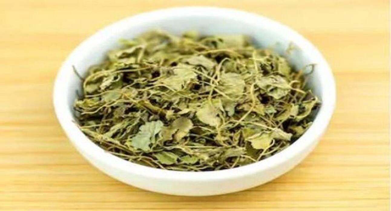5 natural remedies to fight dengue