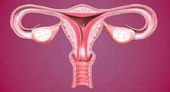 Eat these foods and boost your fertility