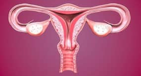 Eat these foods and boost your fertility