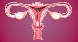 Eat these foods and boost your fertility