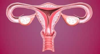 Eat these foods and boost your fertility