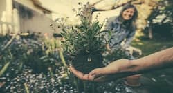 5 amazing health benefits of gardening you didn't know about