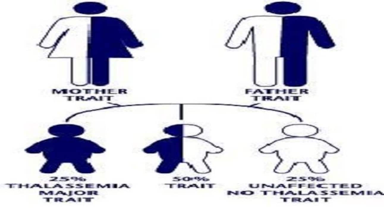 4 factors that could cause bipolar disorder