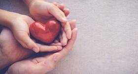 New sensor can monitor heart cells with minimal disruption, says report New sensor can monitor heart cells with minimal disruption, says report