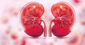 Follow these diet tips post kidney transplant