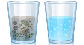 Scientists identify bacteria that can be used to clean water
