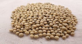 4  beauty benefits of soya bean