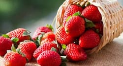 Fisetin: The flavonoid that can add years to your life