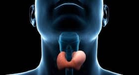 Is your thyroid gland malfunctioning? You may get a heart attack