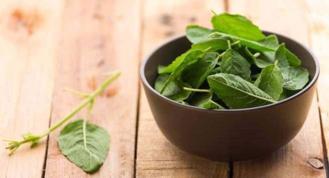 5 natural remedies to fight dengue
