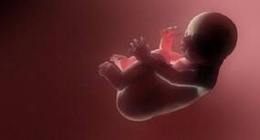 Placenta can prevent your baby from pregnancy complications: Study