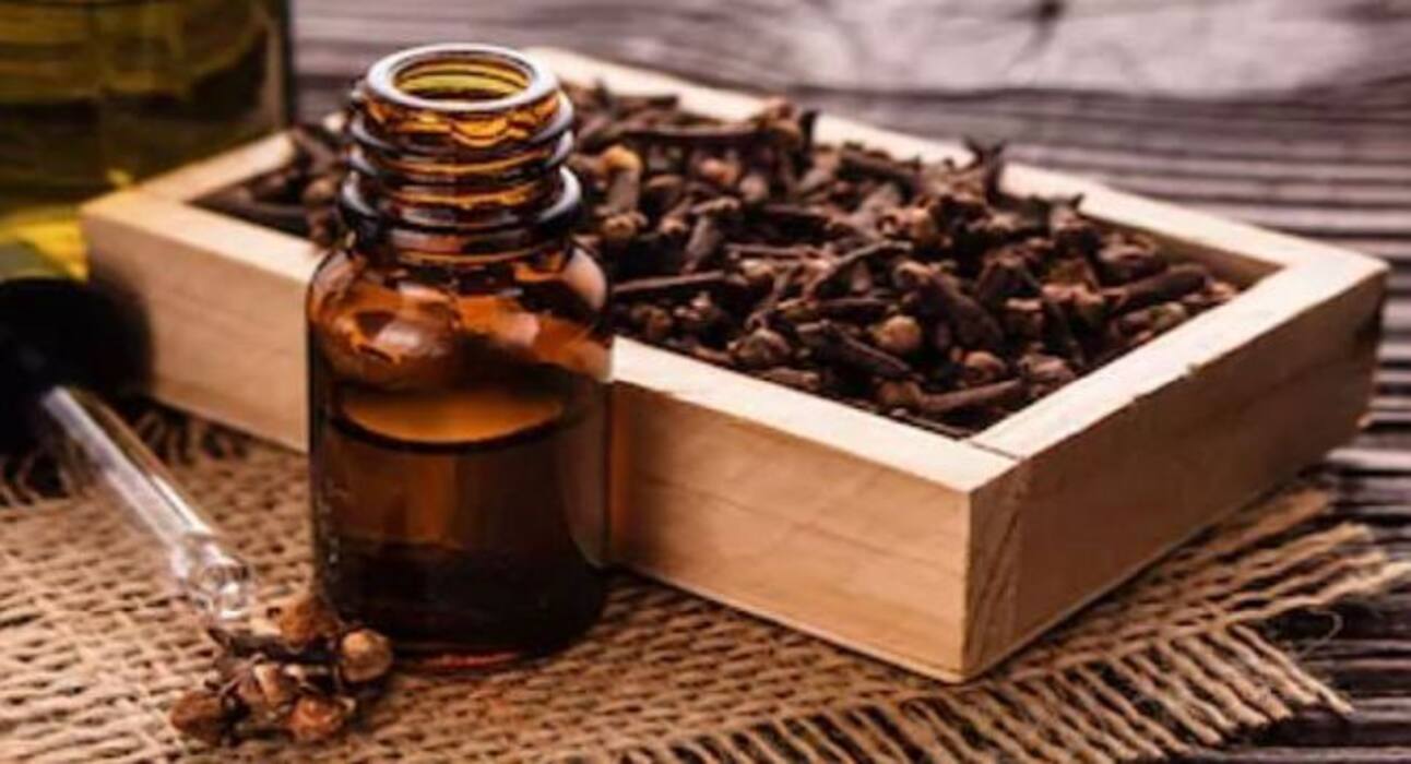 सर्दियों में हर रोज पिएं लौंग की चाय, होंगे कई फायदे