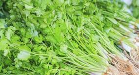 This is why you need to add coriander in your life