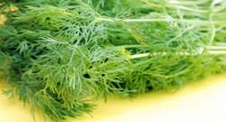 भूख लगातार हो रही है कम, तो डायट में शामिल करें यह हरी सब्‍जी