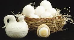 Genetically modified chickens can produce anti-cancer drugs: Study
