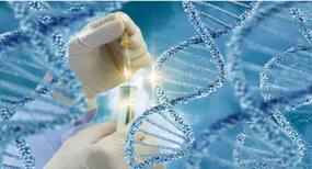 Why Is Genetic Testing Gaining Popularity in Healthcare?