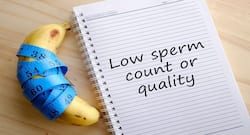 7 herbs that can bring down sperm count