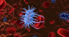 Ramizol antibiotic can tackle drug-resistant bacteria: Study