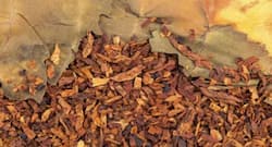 चुने में रगड़कर खाते हैं तंबाकू जानें छोड़ने के सरल उपाय