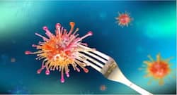 वायरस, परजीवी से भी हो सकती है फूड पॉइजनिंग