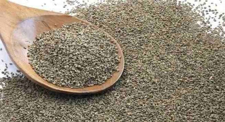 Know about these health benefits of ajwain