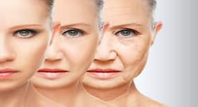 Researchers indentify a new drug that may delay ageing