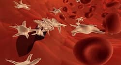 ये है वे पांच सुपरफूड, जो बढ़ाते हैं प्लेटलेट्स काउंट