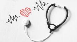 Miniature hearts can be helpful in testing potential new drugs