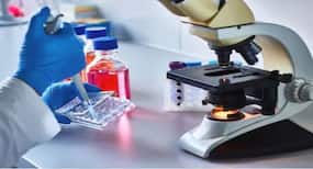 3 एच केयर ने अपनी ऑफलाइन तीसरी लैब का गजरौला (उ.प्र.) में किया उद्धाटन, ऑनलाइन डायग्नोसिस कराना होगा आसान