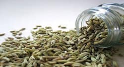 Top 7 health benefits of fennel seeds
