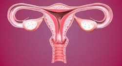 Want to increase your fertility? Do these exercises