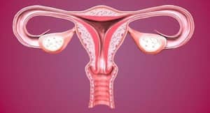 Want to increase your fertility? Do these exercises Want to increase your fertility? Do these exercises