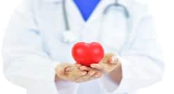 Hormone therapy may up heart disease risk during gender transition says study