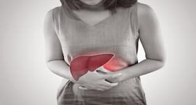 New humanised mouse model can help understanding liver cirrhosis development by hepatitis B