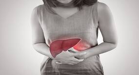 New humanised mouse model can help understanding liver cirrhosis development by hepatitis B